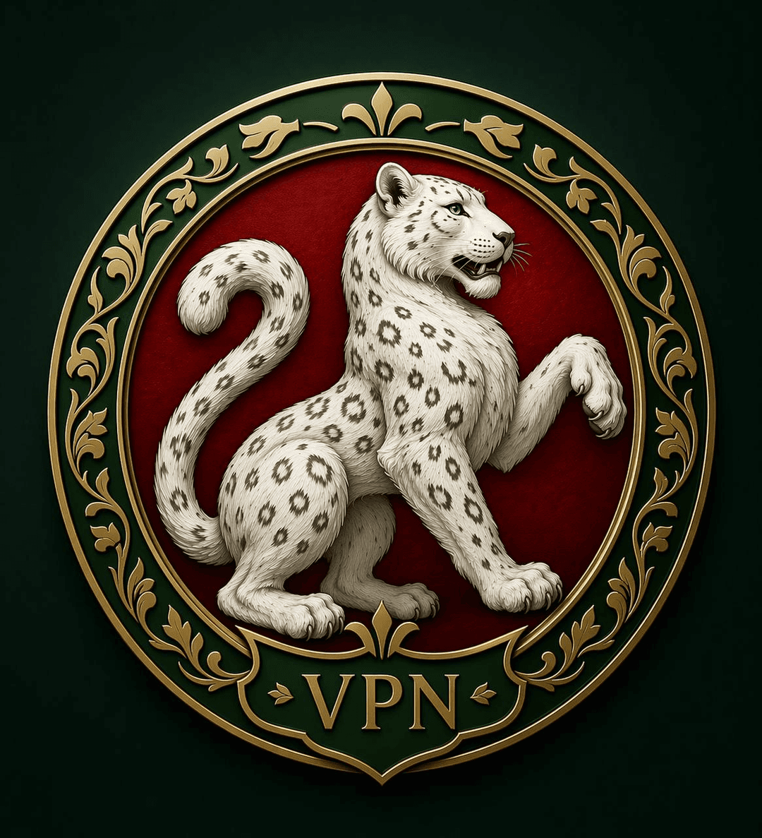 Логотип Barsa VPN